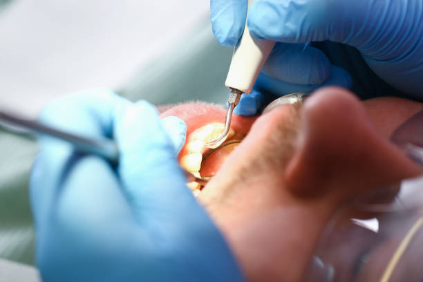 Best Emergency Pediatric Dentist  in Marbleton, WY
